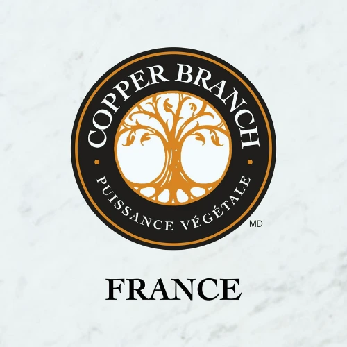 Copper Branch Menu Prix (Carte) France Mis à jour pour 2024