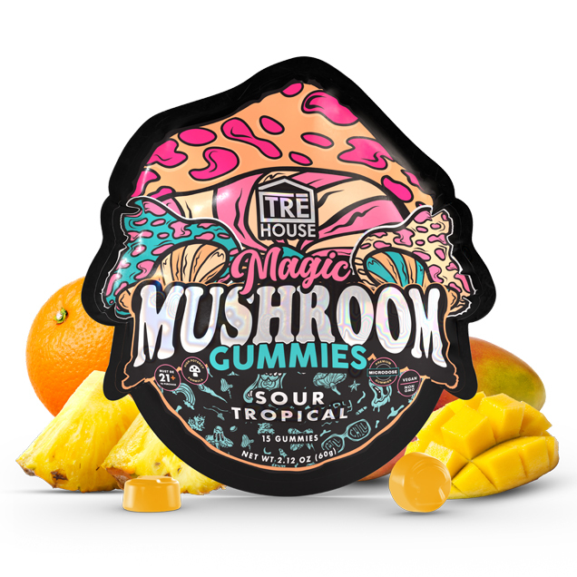 Magic Mushroom Gummies: Tips For Beginners And Storage Guidelines To Follow
