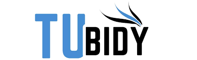 Tubidy: An In-Depth Review of Its Free Music and Video Services