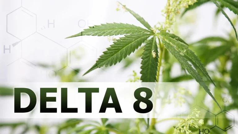 How to Incorporate Delta 8 THC into Your Wellness Routine?