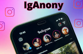 How to Use IgAnony to View Instagram Stories Without an Account